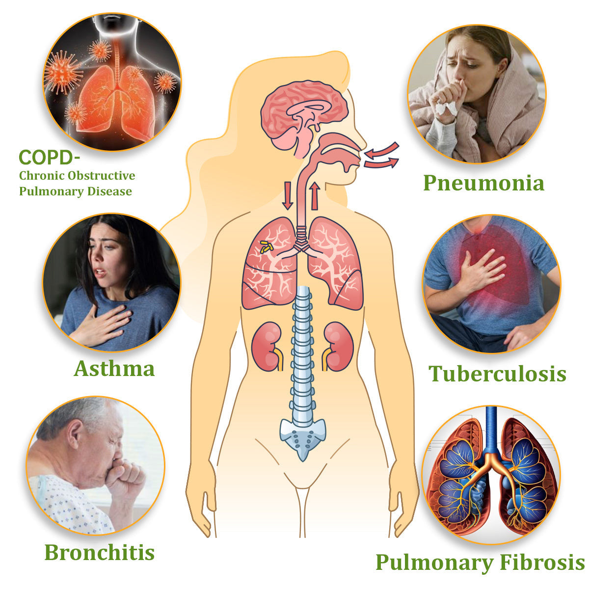 ✅Official Store:Zvoevo® NAC-Enhanced Lung Cleansing Inhaler👨‍⚕️(🫁Sinusitis,cough, wheezing, shortness of breath, sputum, stuffy nose, bronchitis, allergy symptoms, lung discomfort🫁)