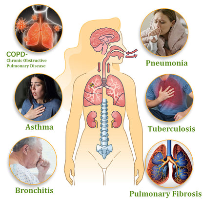 ✅Official Store:Zvoevo® NAC-Enhanced Lung Cleansing Inhaler👨‍⚕️(🫁Sinusitis,cough, wheezing, shortness of breath, sputum, stuffy nose, bronchitis, allergy symptoms, lung discomfort🫁)