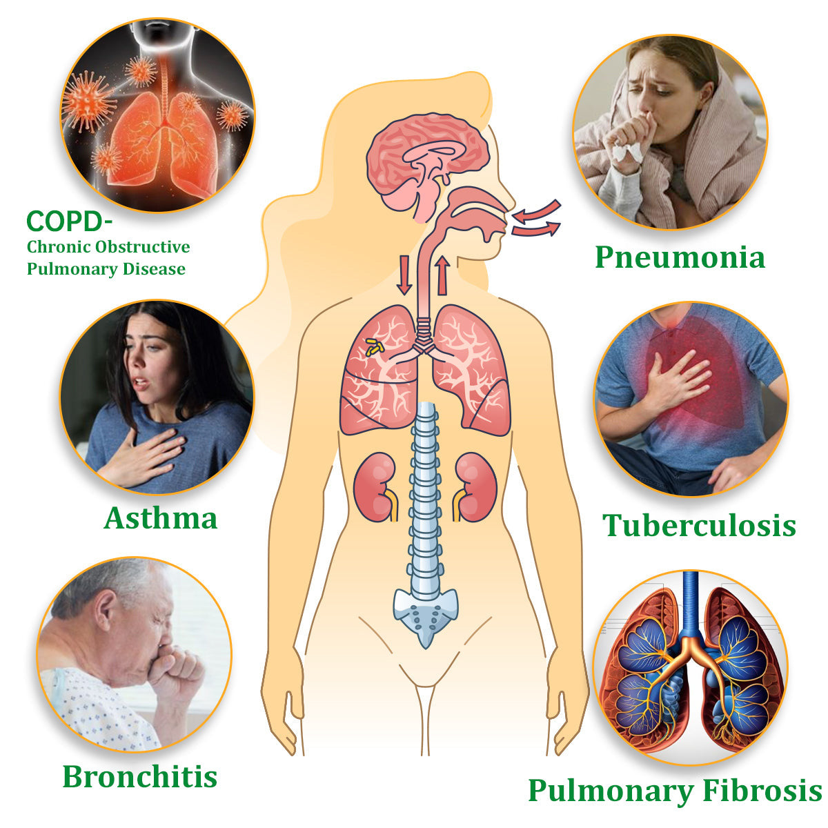 ✅Official Store|Ourlyard™ Herbal Lung Cleansing Inhaler🦘 (💝 Cough, wheezing, shortness of breath, sputum, stuffy nose, bronchitis, bronchitis, allergy symptoms, lung discomfort💝)